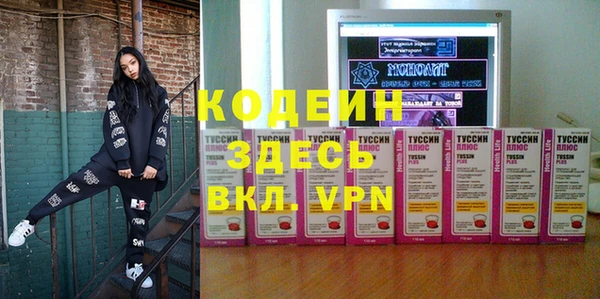 хмурый Алексеевка