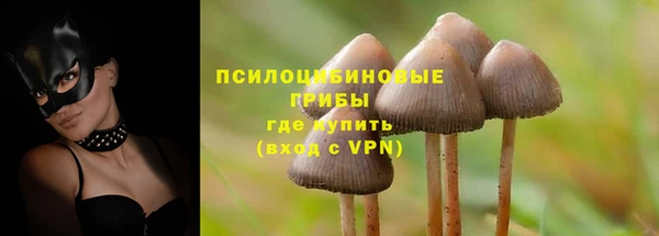 хмурый Алексеевка