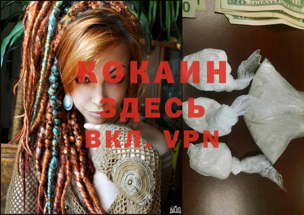 тгк Алексин