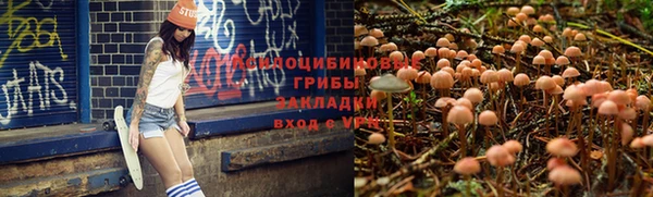 2c-b Алзамай