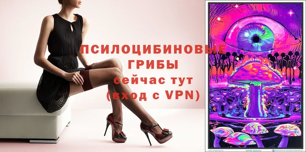 хмурый Алексеевка