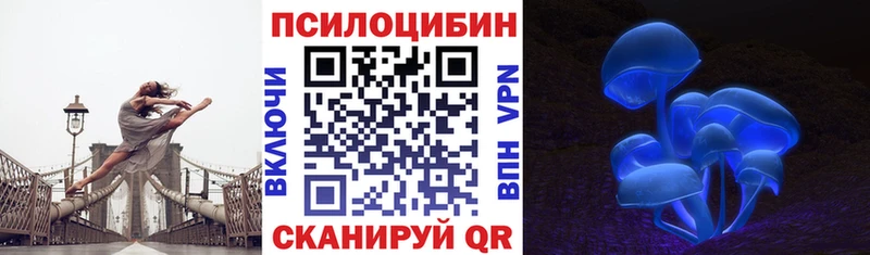 купить закладку  Ардатов  MEGA ONION  Псилоцибиновые грибы мицелий 
